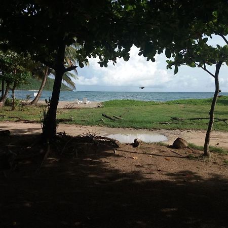The Reef Beach Huts Hotel Vieux Fort Exterior photo