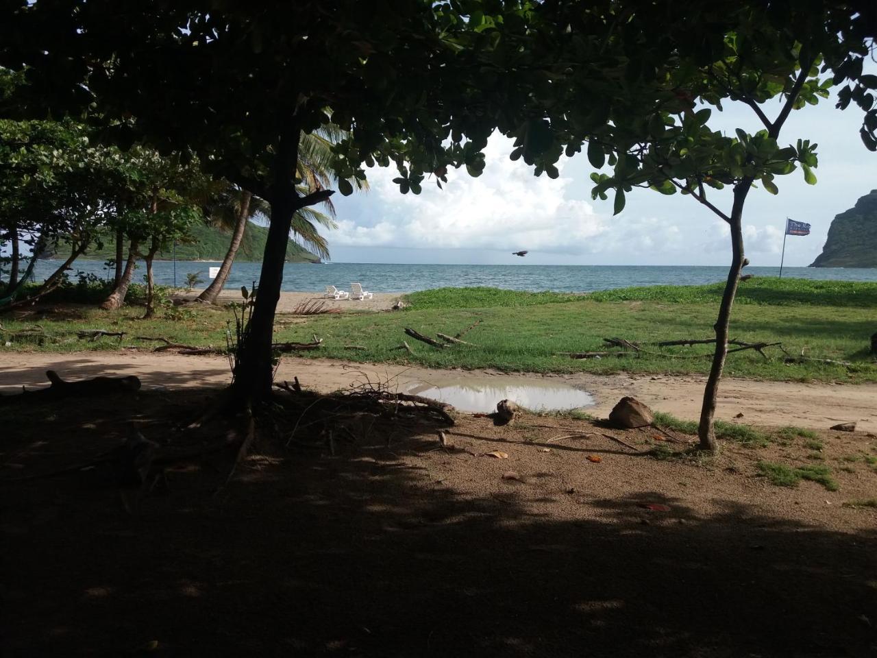 The Reef Beach Huts Hotel Vieux Fort Exterior photo