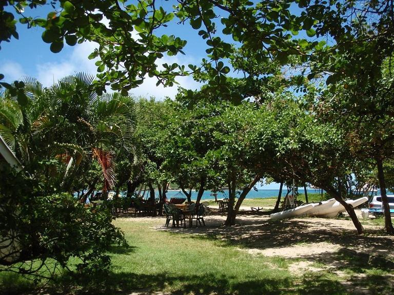 The Reef Beach Huts Hotel Vieux Fort Exterior photo